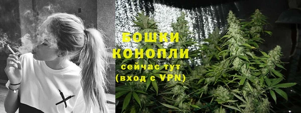 шишки Баксан