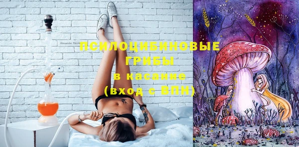 дживик Арсеньев