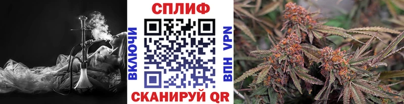 Канабис сатива  darknet клад  Луза 